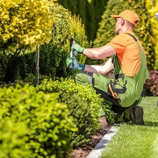 EPI para Jardinagem