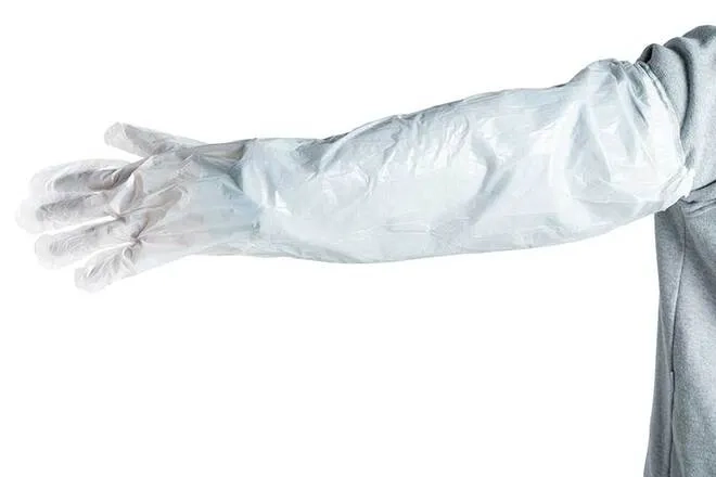 Product photo 2